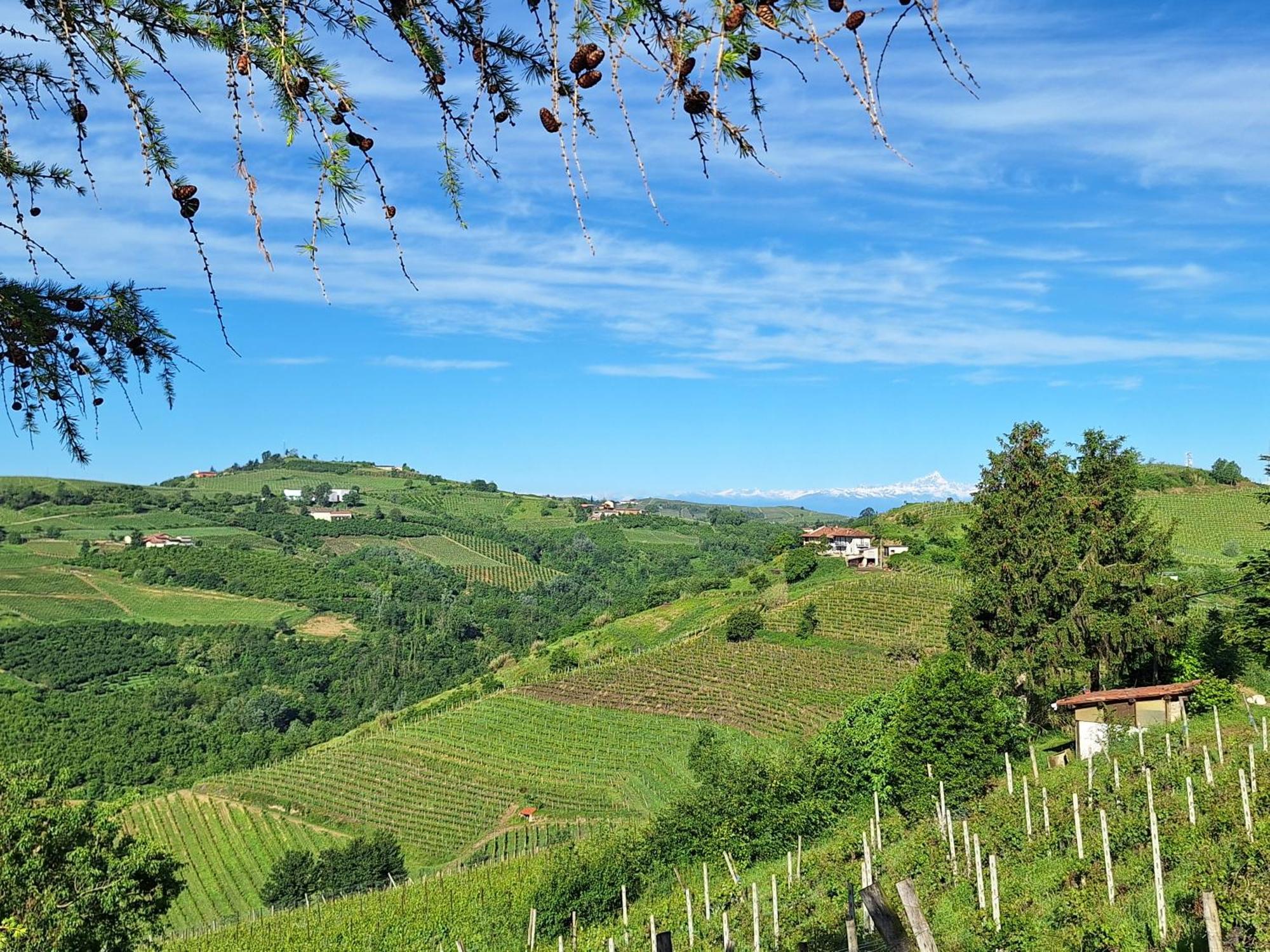 Agriturismo Ca Trinche Camo Buitenkant foto