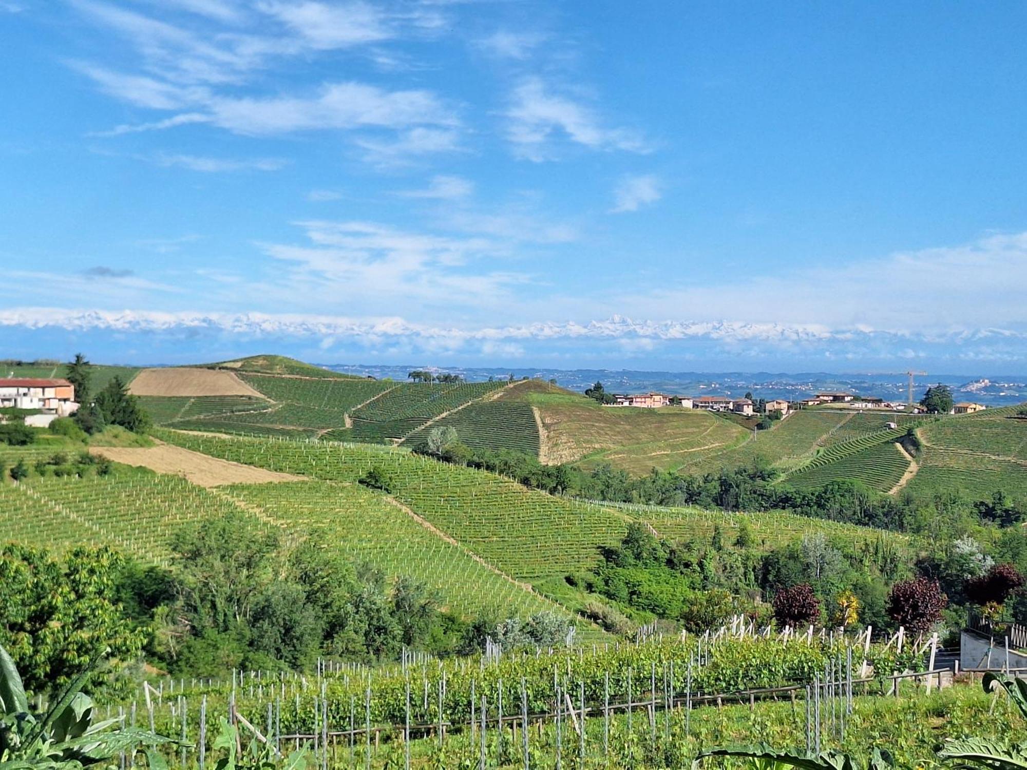 Agriturismo Ca Trinche Camo Buitenkant foto