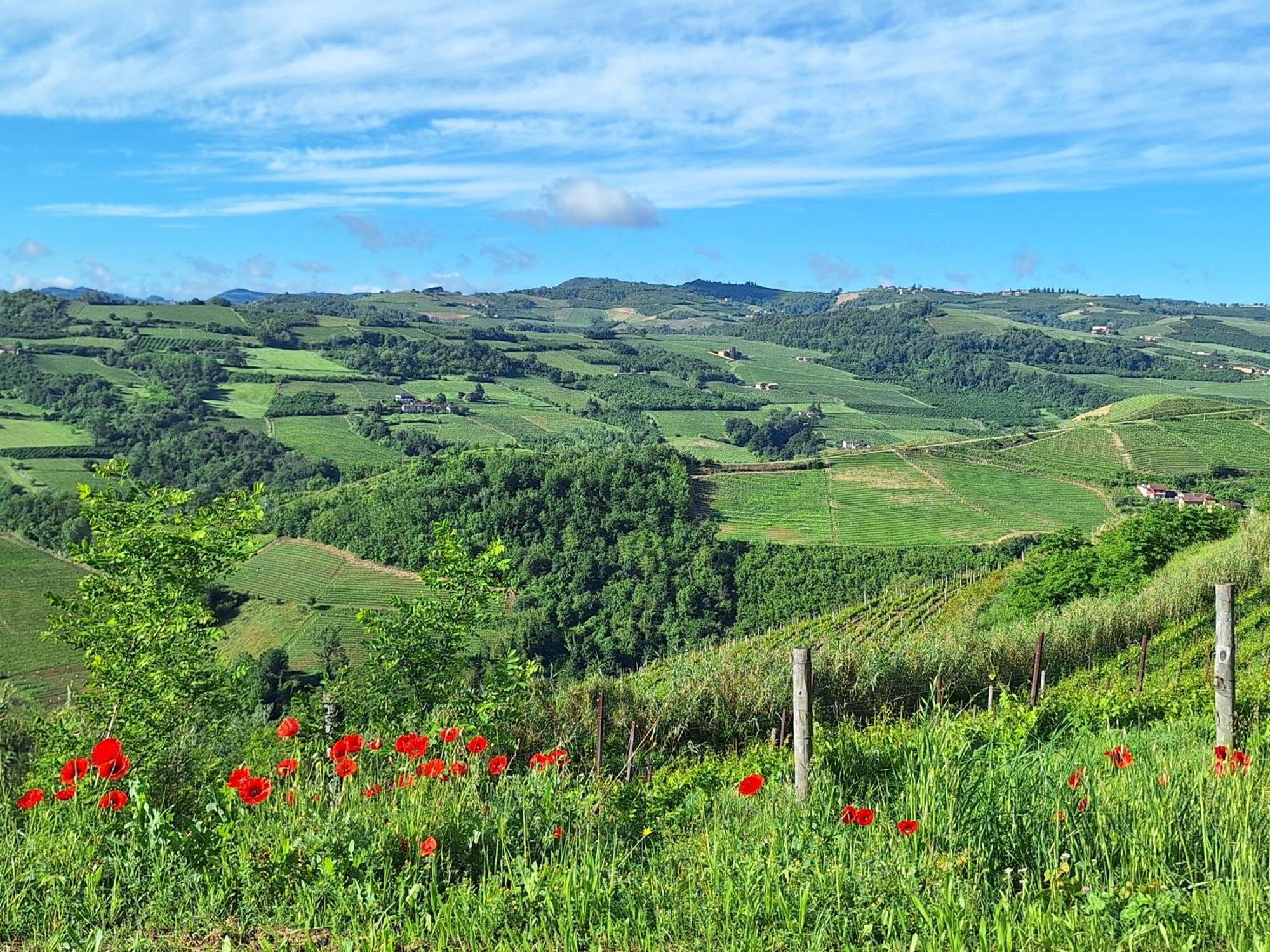 Agriturismo Ca Trinche Camo Buitenkant foto