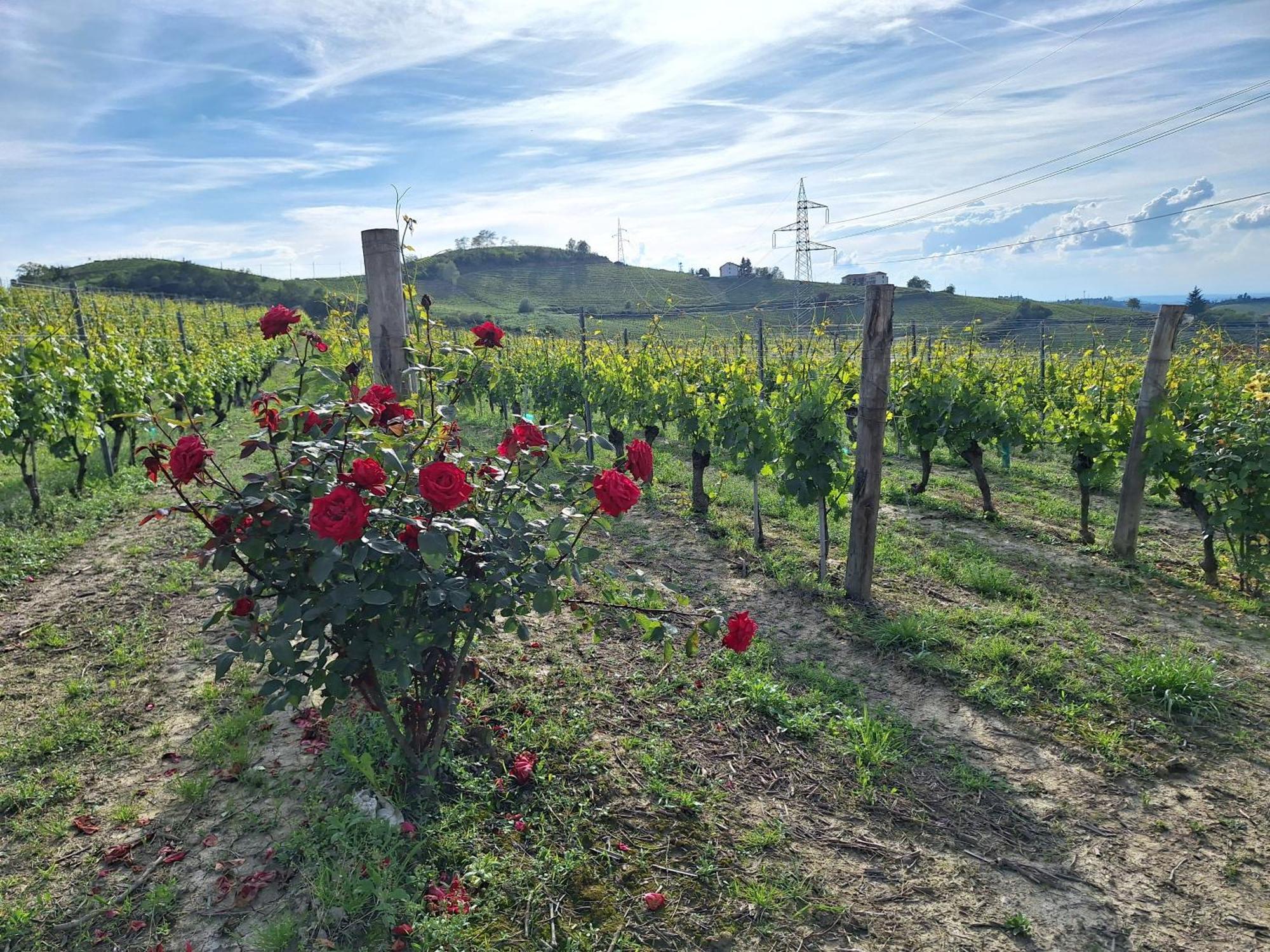 Agriturismo Ca Trinche Camo Buitenkant foto